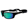 Wiley X P17 sunglasses